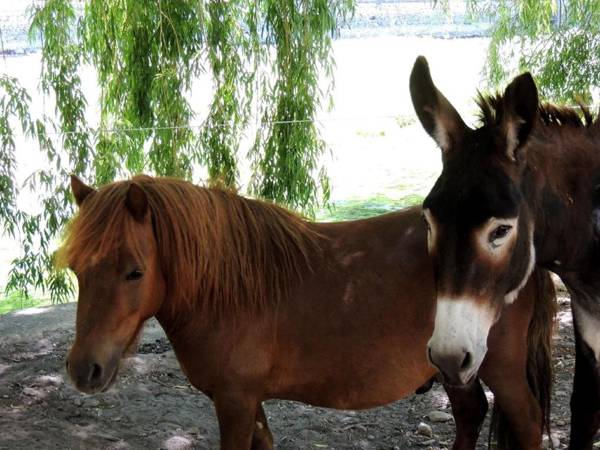 Hotel Restaurant du Parc