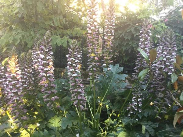 Les Tuileries de Chanteloup