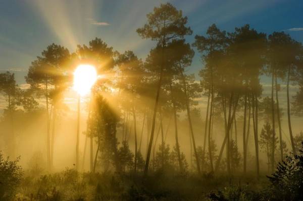 Résidence Goélia Les Jardins de l'Oyat