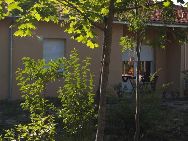 Le Rouge-gorge du Pescofi