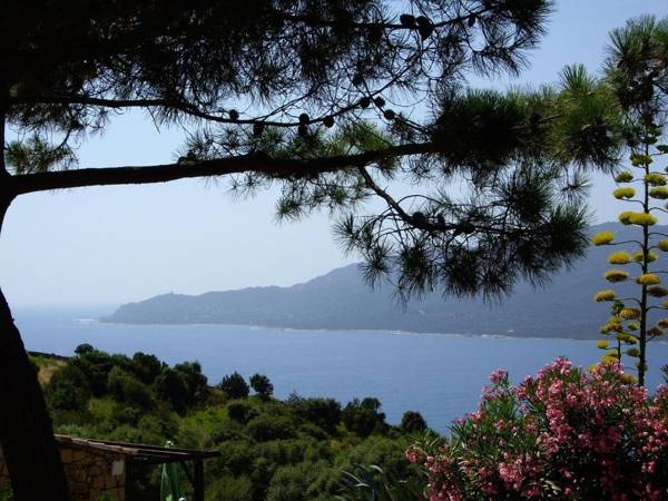 Residence Alba Rossa