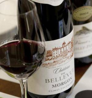 Château de Bellevue B&B