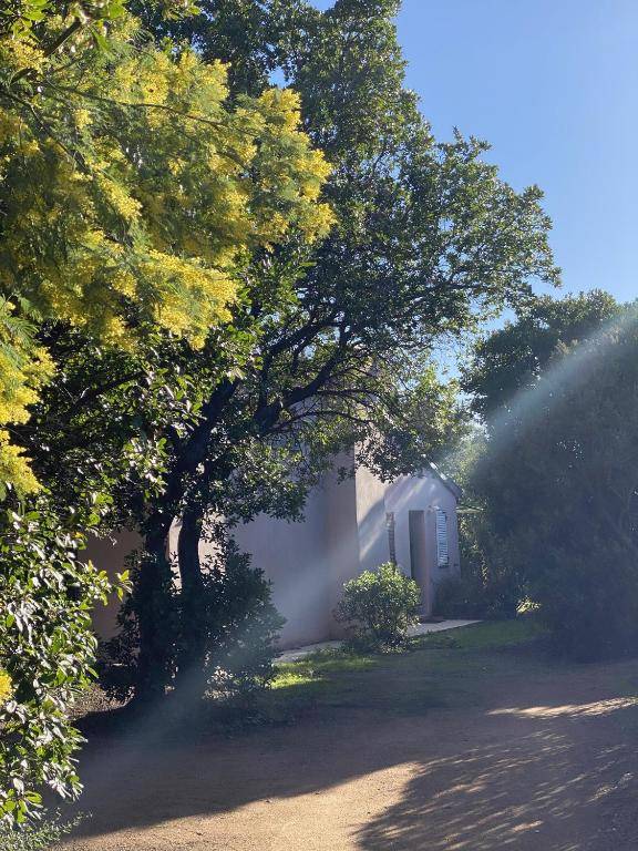 Jolie villa de bord de mer a 500 m de la plage