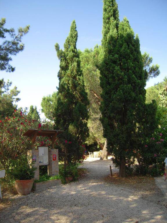 Manade Cavallini - Mas de Pioch