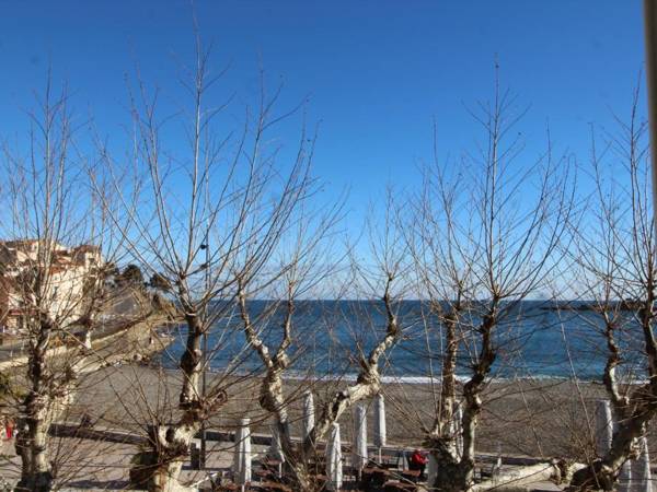 Appartement Banyuls-sur-Mer 3 pièces 4 personnes - FR-1-309-9