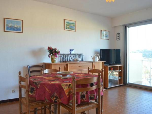 Studio Banyuls-sur-Mer 1 pièce 4 personnes - FR-1-225C-533