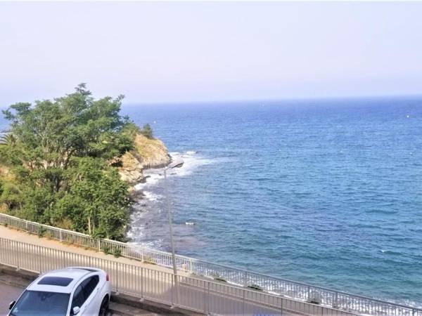 Appartement Banyuls-sur-Mer 3 pièces 4 personnes - FR-1-309-281