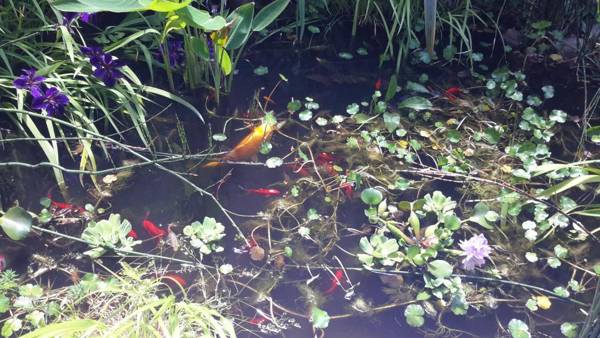 Domaine De La Tannerie