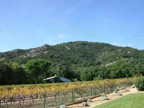 Contemporary Villa in Le Plan-de-la-Tour with Pool