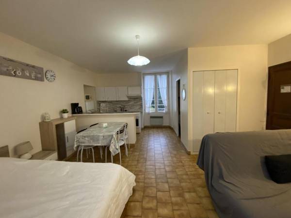 Appartement La Roche-Posay 1 pièce 3 personnes - FR-1-541-59