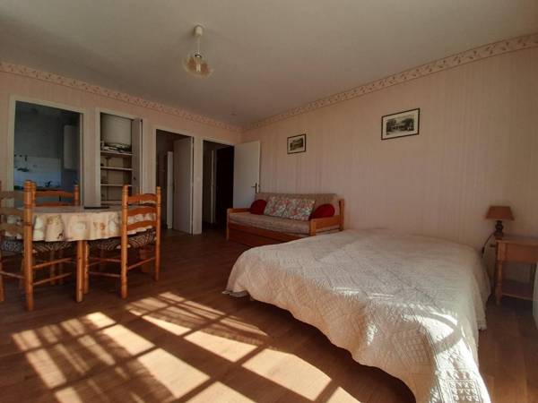 Appartement La Roche-Posay 1 pièce 4 personnes - FR-1-541-8