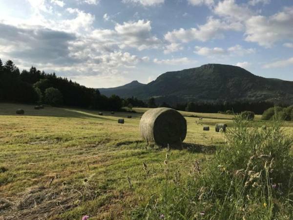 Appartement Mont-Dore 3 pièces 6 personnes - FR-1-608-12