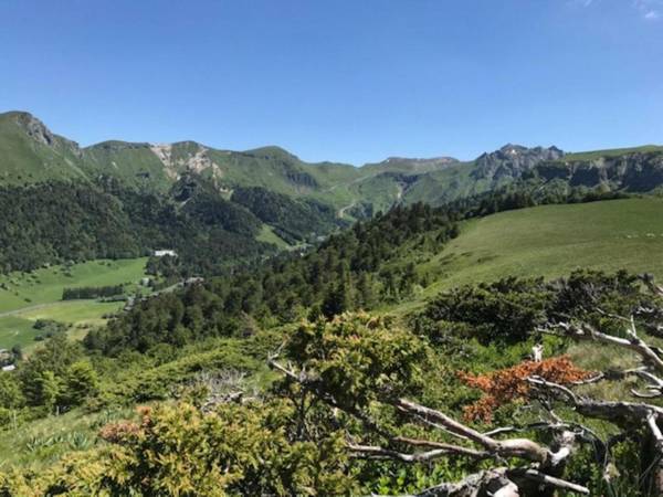 Studio Mont-Dore 1 pièce 3 personnes - FR-1-608-93