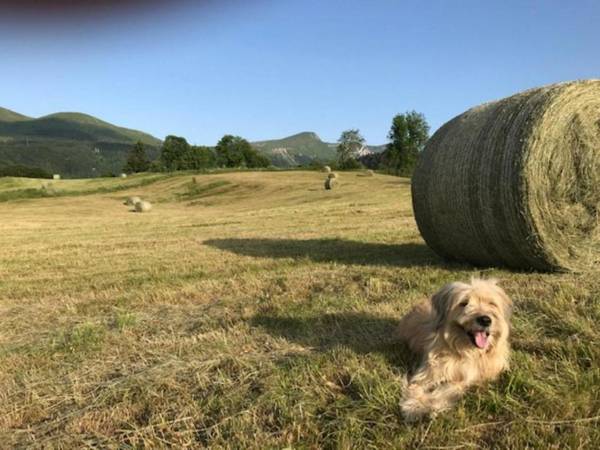 Appartement Mont-Dore 2 pièces 4 personnes - FR-1-608-135