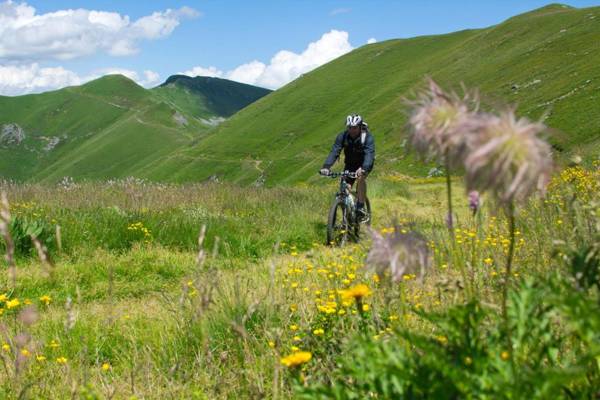 Artist Flat Saint Flour