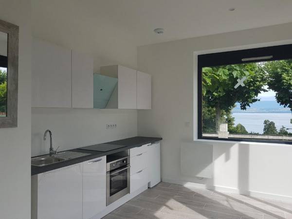 Studios Vue Lac Leman