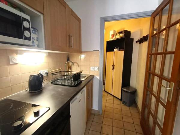 Studio Aix-les-Bains 1 pièce 2 personnes - FR-1-555-20
