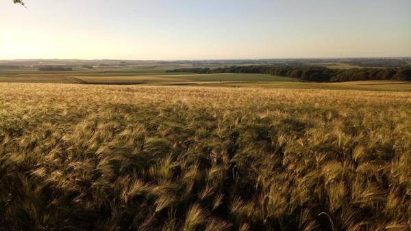 Maison d'Hôtes La Ferme du Grand Air