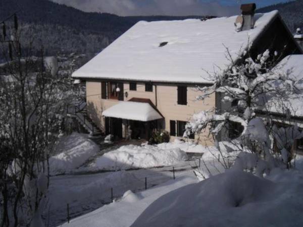 Gîte Le Syndicat 2 pièces 2 personnes - FR-1-589-151