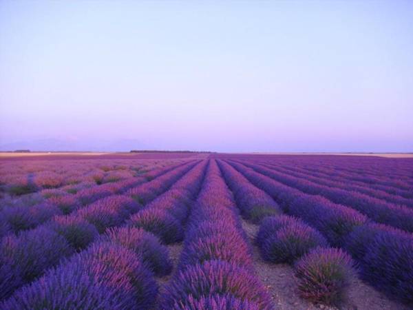 Hotel Les Restanques De Moustiers