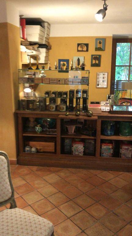 Hôtel Particulier des Lumières