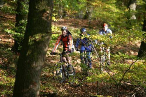 Auberge Du Cheval Blanc