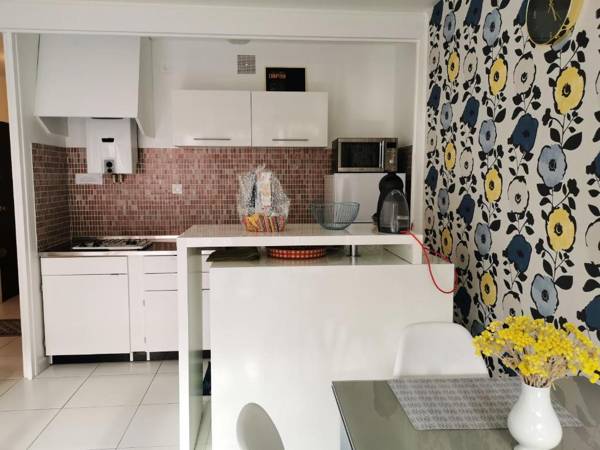 Studio avec terrasse amenagee a Saint Cyprien