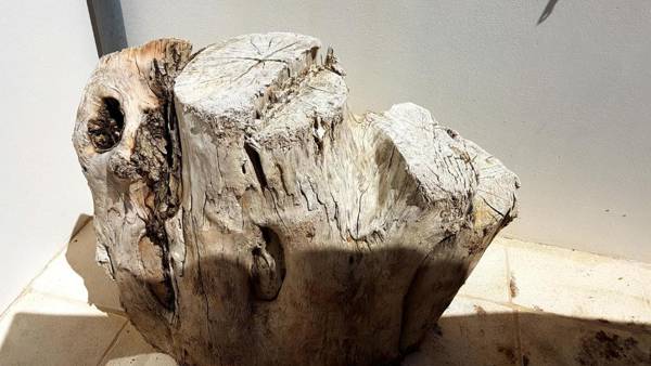 Villas Ré Locations Vacances