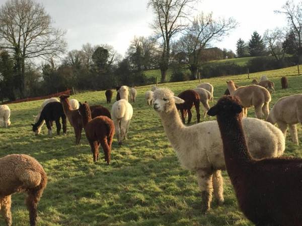 Villa La Roche-Neuville 3 pièces 4 personnes - FR-1-600-95