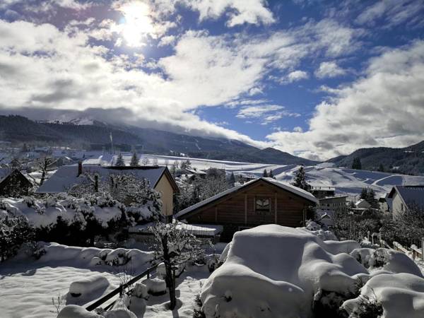 Appartement Villard-de-Lans 2 pièces 4 personnes - FR-1-548-2