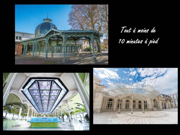 Sources des Célestins - Gare - Pôle universitaire - labellisé Clévacances 3 étoiles