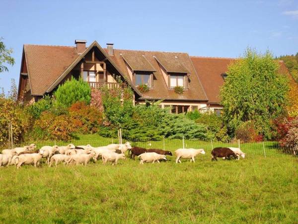 Appartement de 3 chambres avec jardin amenage et wifi a Thannenkirch