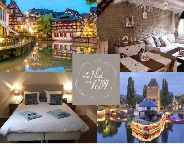 LE NID DE L'ILL Magnifique Duplex Cosy Petite France