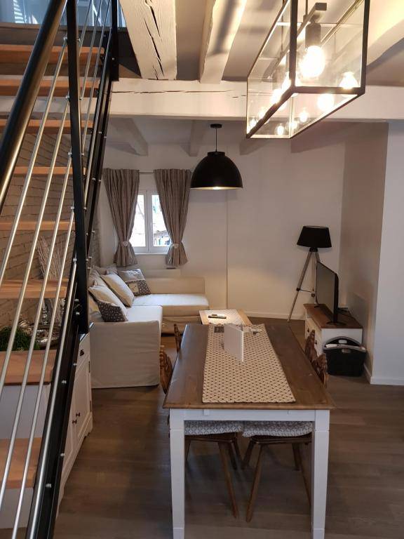 LE NID DE L'ILL Magnifique Duplex Cosy Petite France