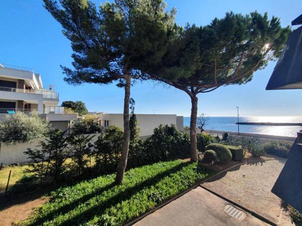 Appartement Sète 1 pièce 4 personnes - FR-1-338-324