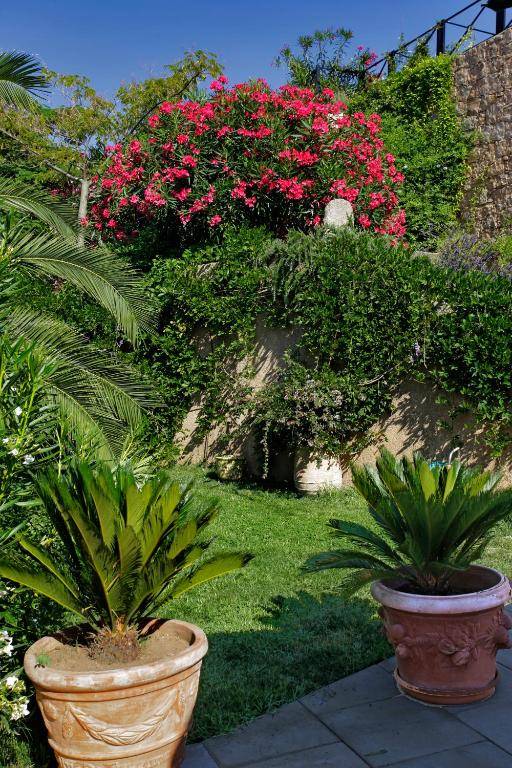 Best Western Plus San Damianu