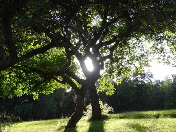 Le Gîte du Beauvais