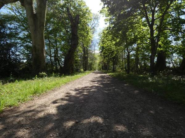 Hôtel des 4 continents - Le Mans