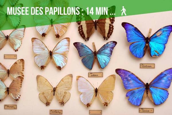 Comme à la Maison - CENTRE-VILLE