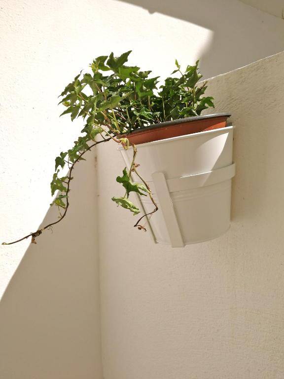 La Loge du Theatre - Saintes