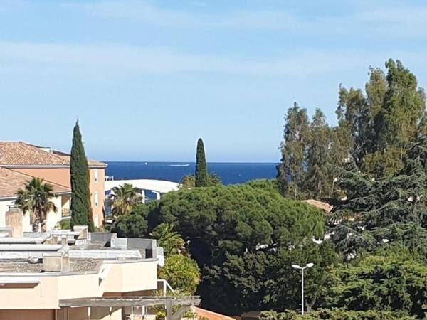 Studio Sainte-Maxime 1 pièce 2 personnes - FR-1-226-420