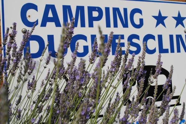 Camping Duguesclin