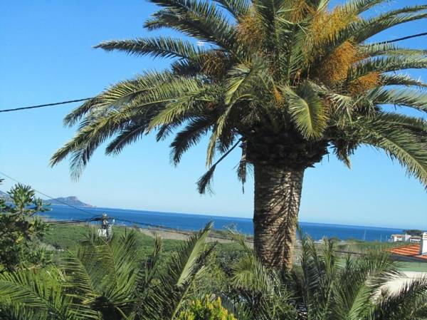 Au Reveil des Cigales