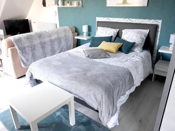 Studio avec piscine partagee jardin clos et wifi a Saint Apollinaire