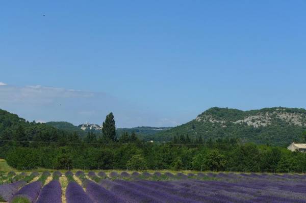 Le Clos de l'Apparent
