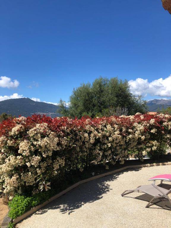 Appartement Tissoggio