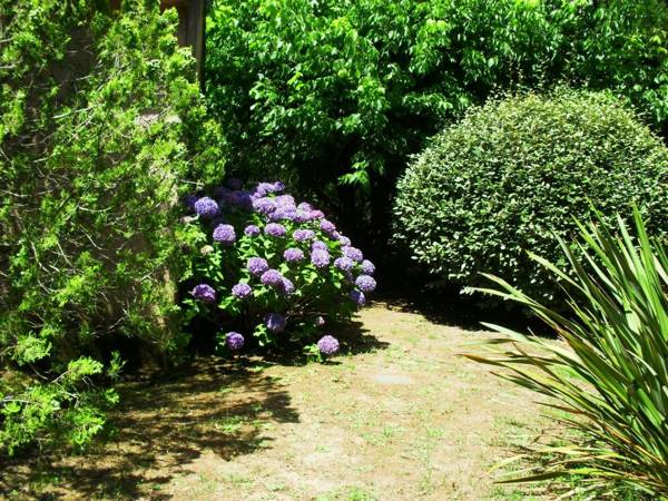 Résidence Les Aulnes