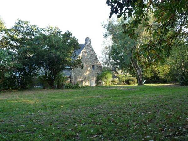 Des Feuilles et Des Hiboux