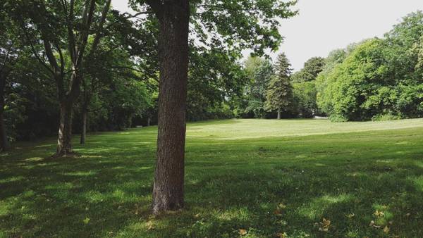 Château Saint Martin de Graves