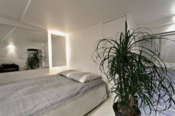 Stylishluxury duplex Paris city center